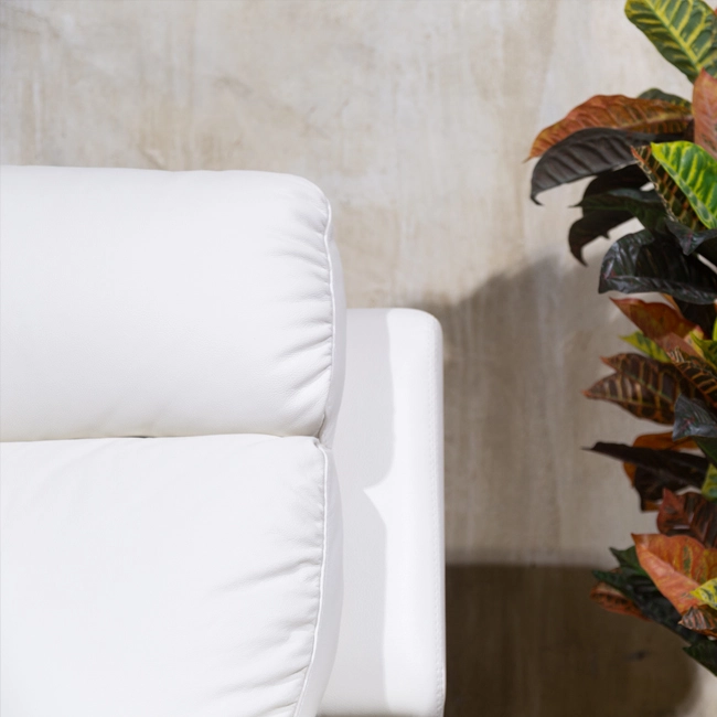 Комфорт дивна Форсайт